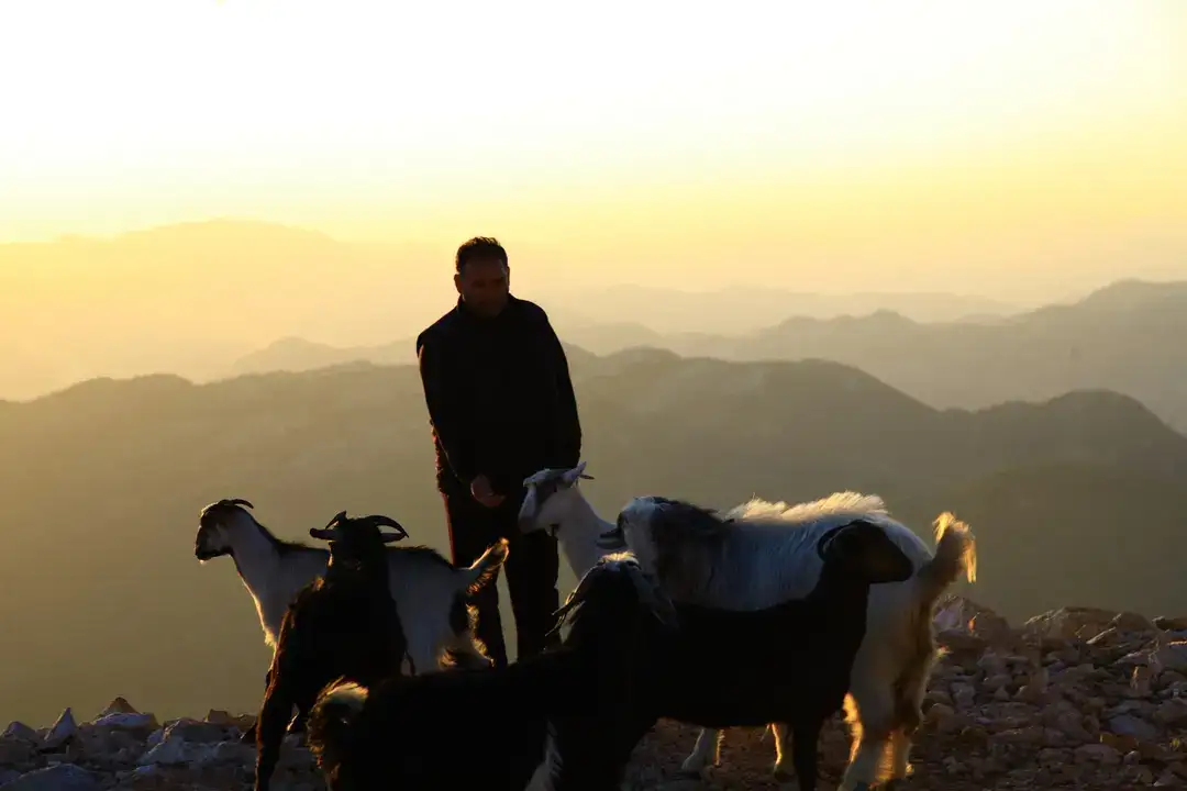 Akseki’nin Eski Adı Ne? Hangi İlçeler Akseki'den Ayrıldı? 7